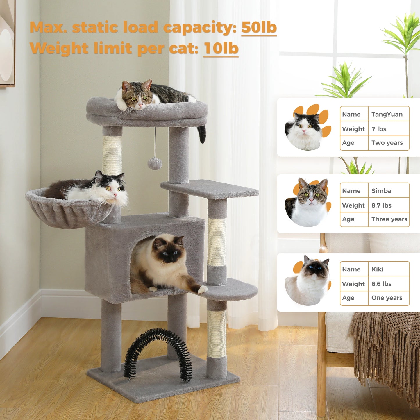 Plush Perch, Hammock, Condo & Sisal Scratching Posts for Indoor Cats