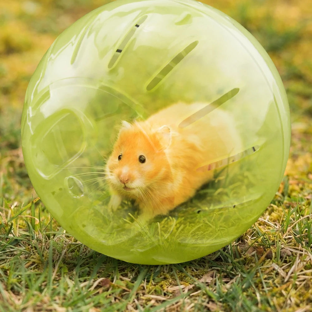 Pet Fitness Running Ball – Solid Plastic Jogging Ball for Hamsters & Rodents
