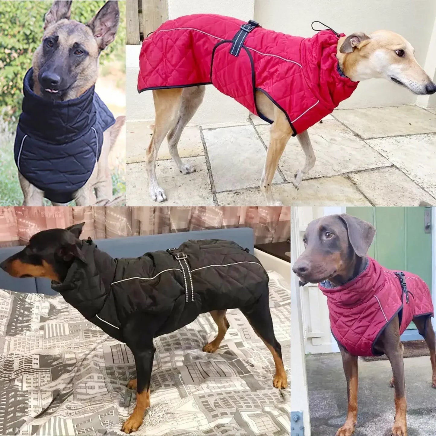 Warm Dog Vest for Medium & Large Dogs