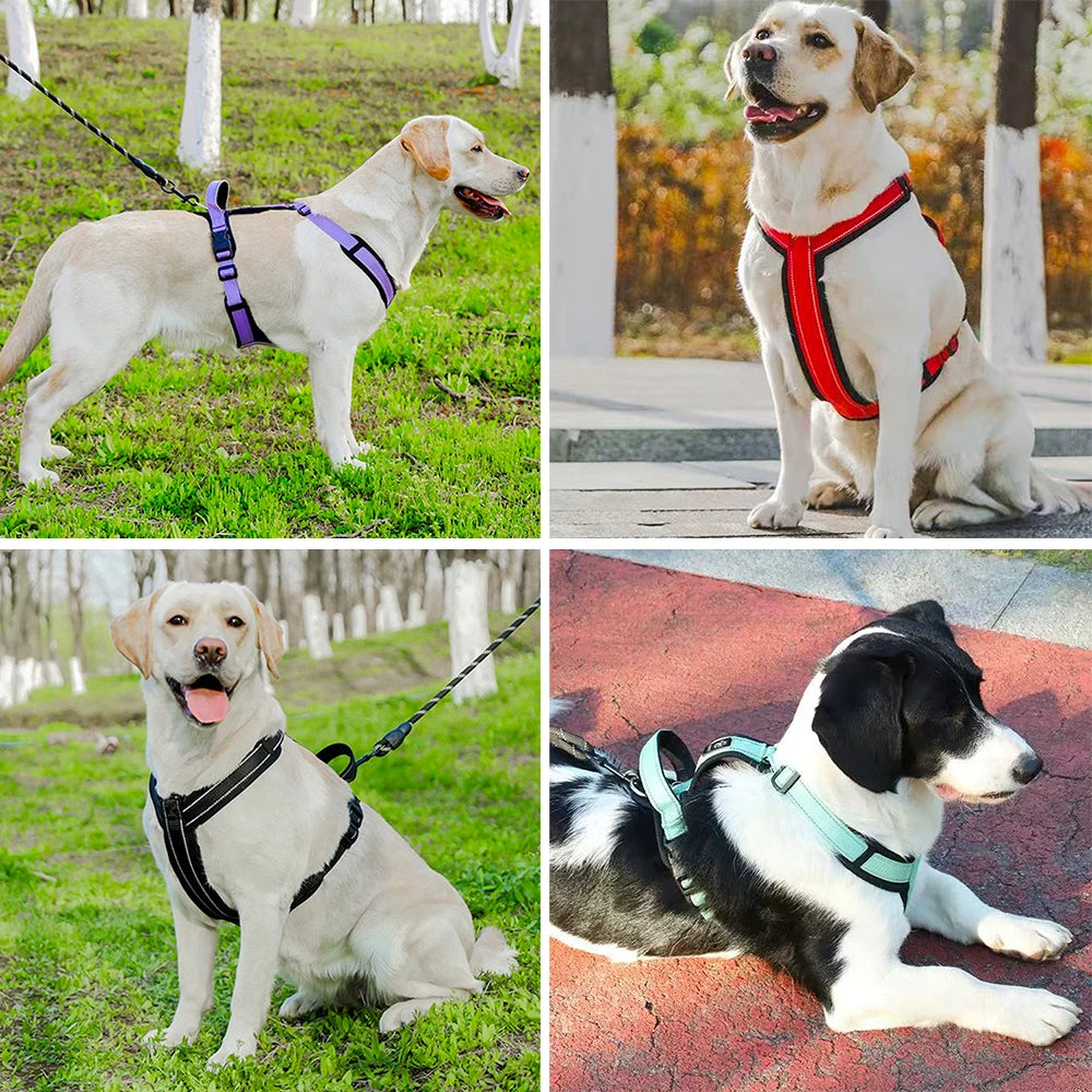 Pet Vest Harness for Small & Medium Dogs
