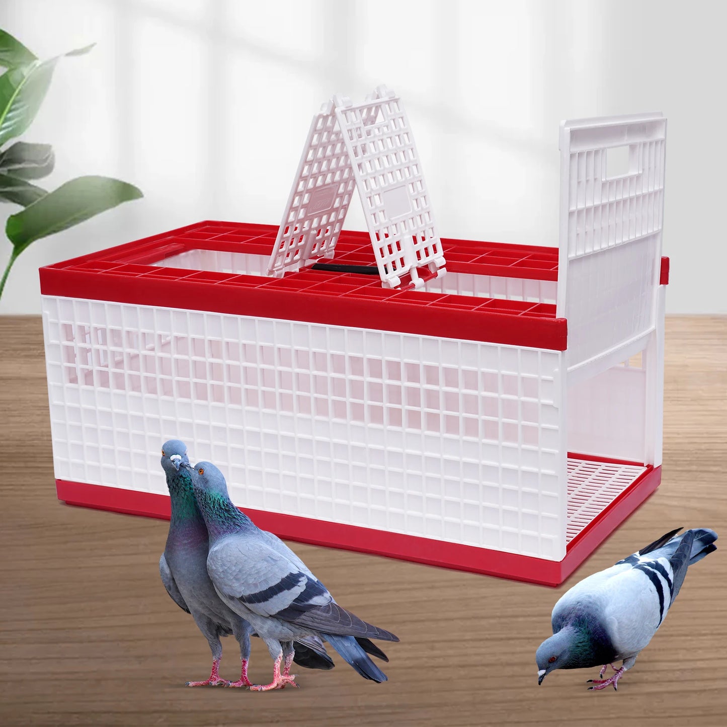 Foldable Cage Ideal for racing pigeons, training, transport, and shows