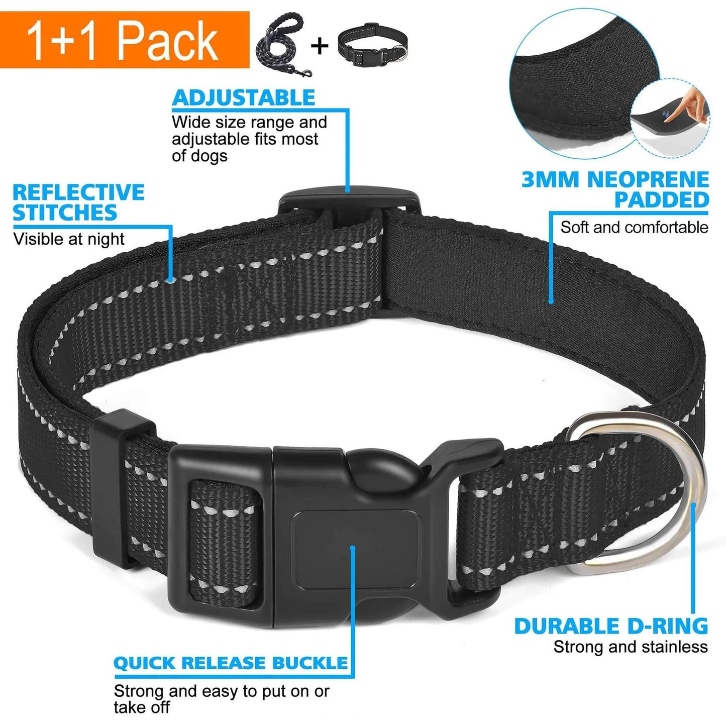 Nylon Dog Leash for Medium & Large Dogs