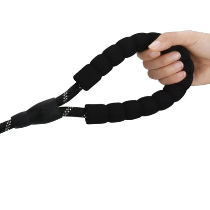Nylon Dog Leash for Medium & Large Dogs