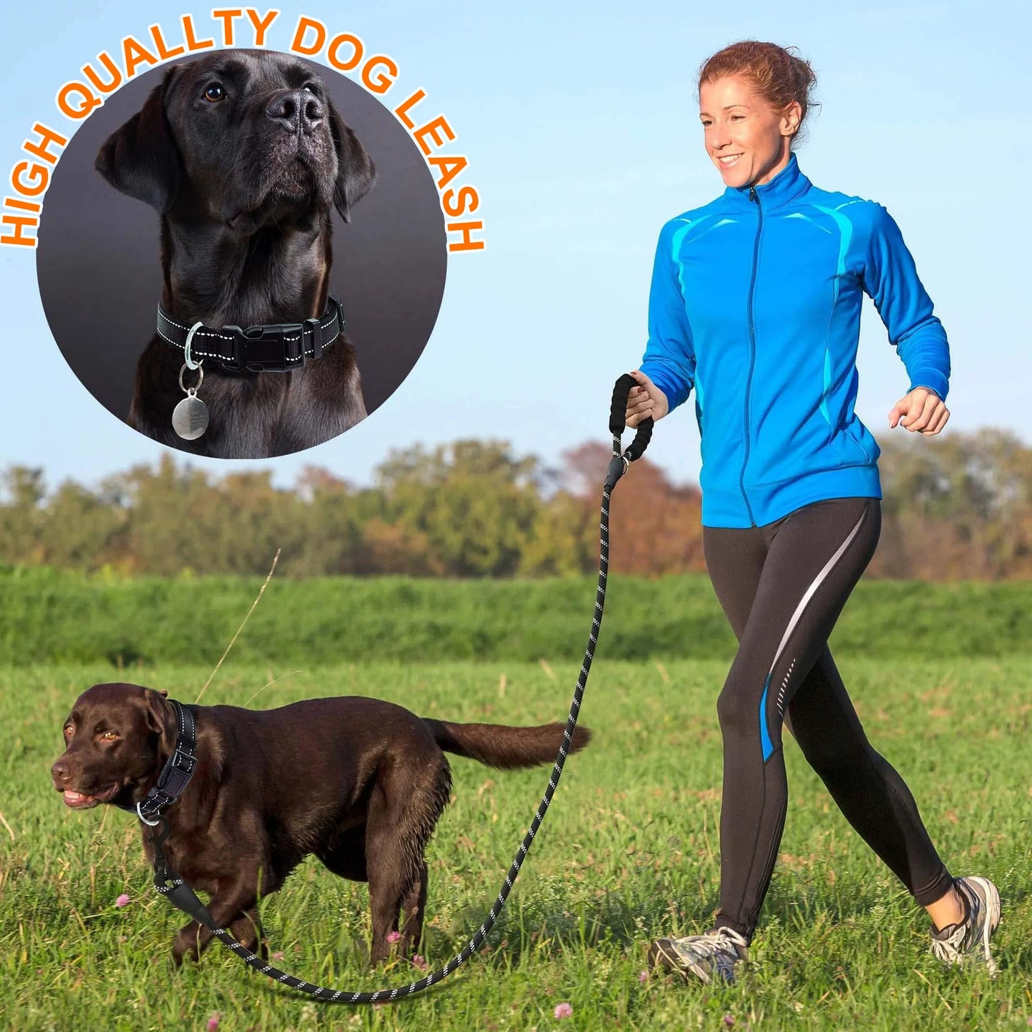 Nylon Dog Leash for Medium & Large Dogs