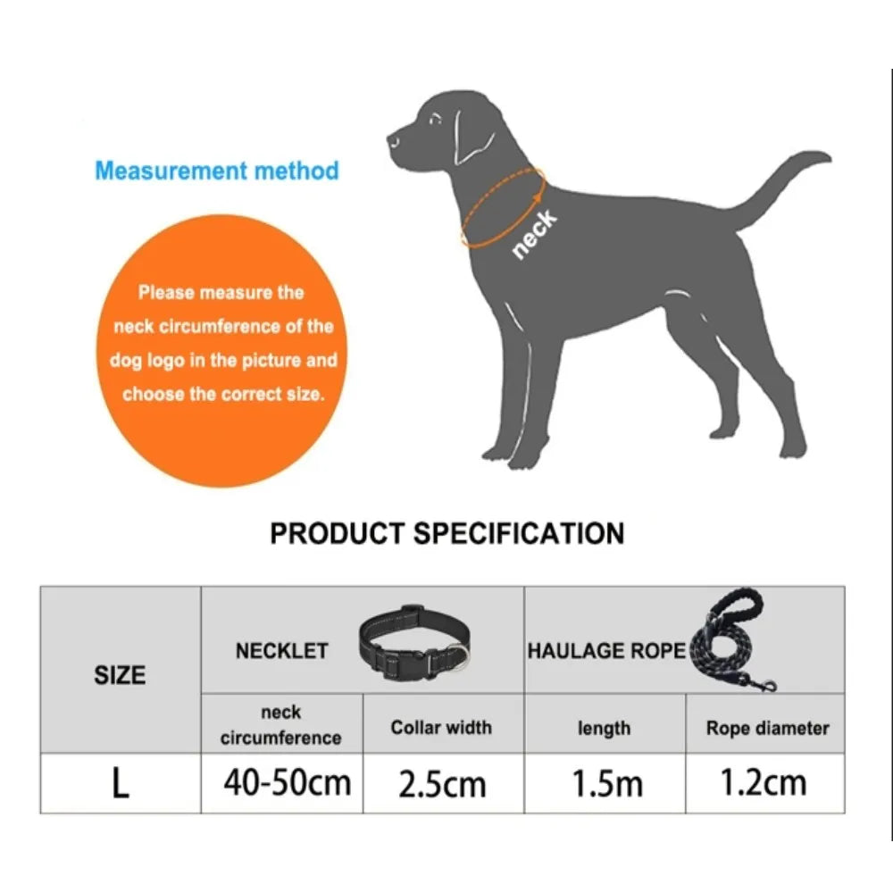 Nylon Dog Leash for Medium & Large Dogs