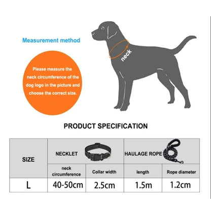 Nylon Dog Leash for Medium & Large Dogs
