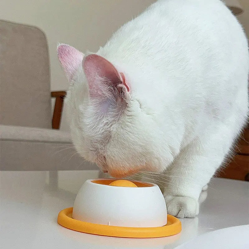 Dog Cat Lick Bowl with Slow Feeder Anxiety Relief