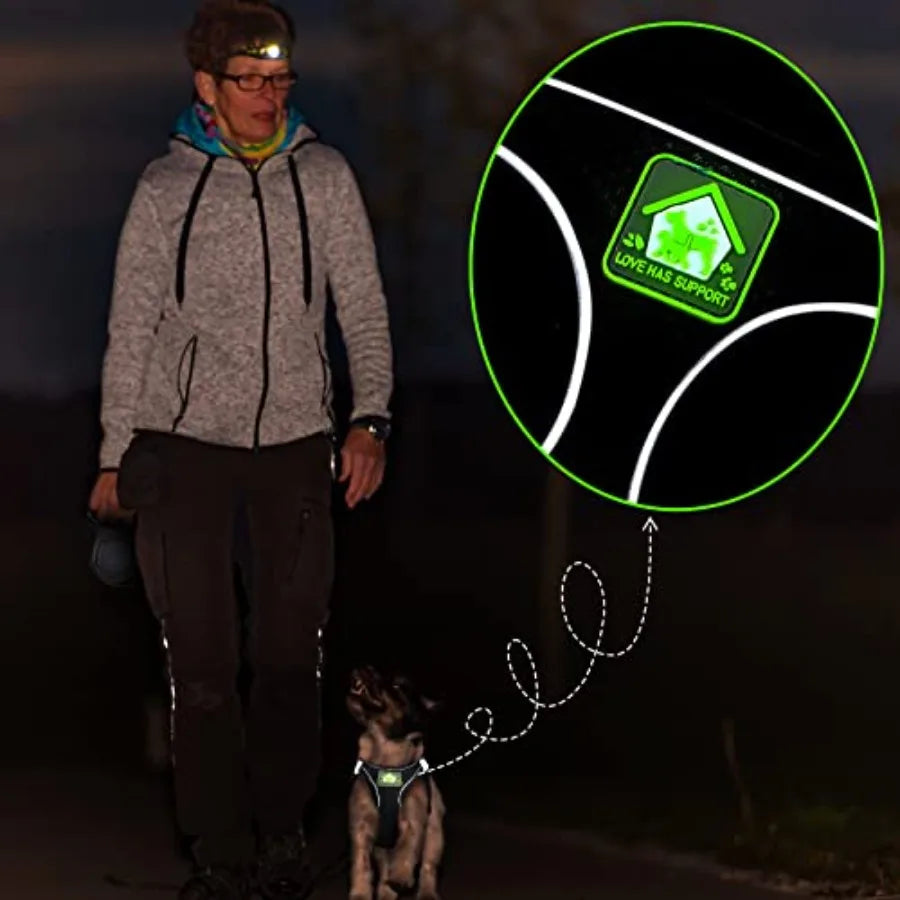 6 Pcs Small Dogs and Cats Harness with Retractable Leash and Bowknot