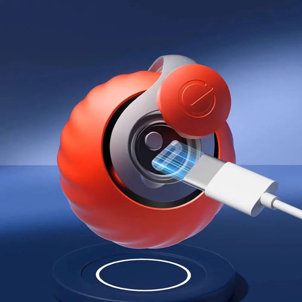 Interactive Rechargeable Ball for Puppies, Dogs & Cats.