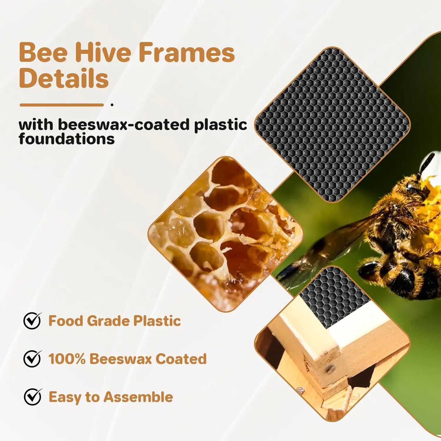 10‑Frame Deep Brood Box, wax‑coated, Langstroth‑style, unassembled. Deep Brood Box Kit – Wax‑Coated with Frames & Wax Foundations.