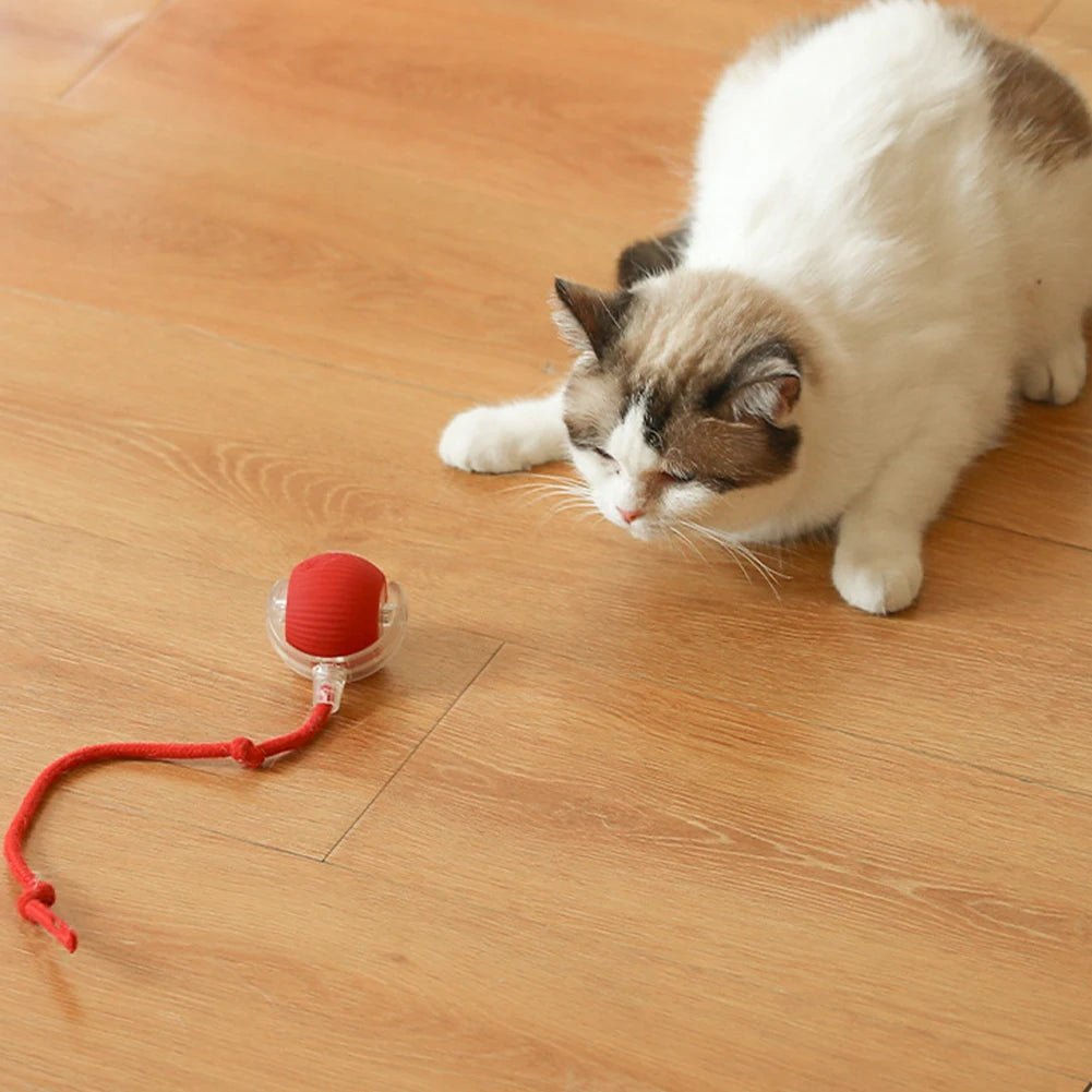 Rechargeable Interactive Cat Ball for Indoor Cats & Kittens,