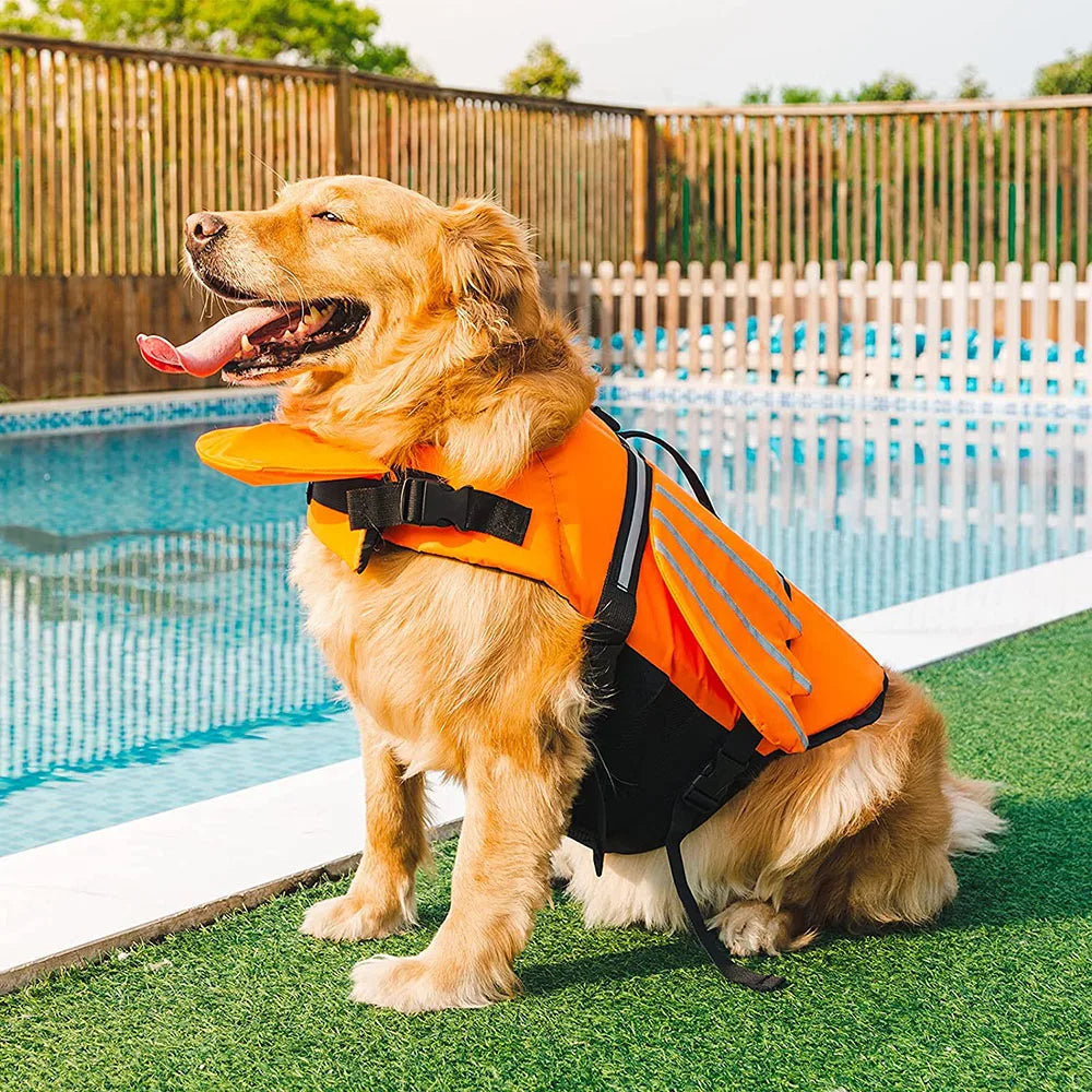 Dog Life Jacket with Wings Design, Swim Safety for Pool & Beach.