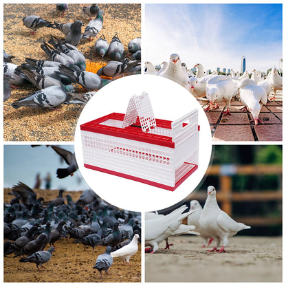 Foldable Cage Ideal for racing pigeons, training, transport, and shows
