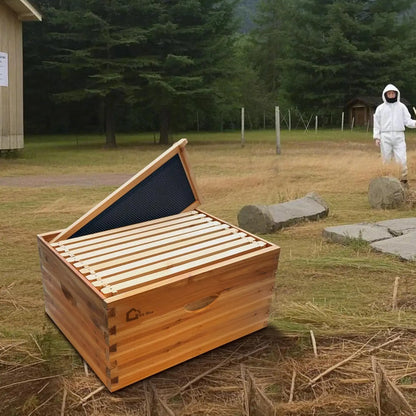 10‑Frame Deep Brood Box, wax‑coated, Langstroth‑style, unassembled. Deep Brood Box Kit – Wax‑Coated with Frames & Wax Foundations.