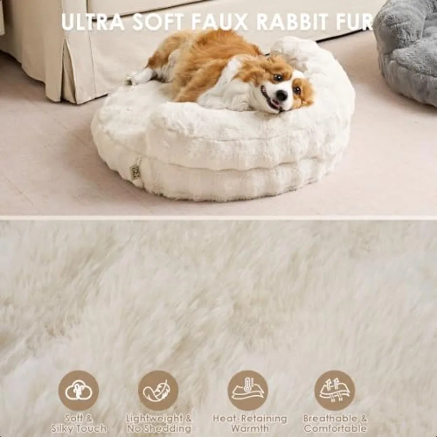 Washable Dog & Cat Bed for Small–Medium Pets