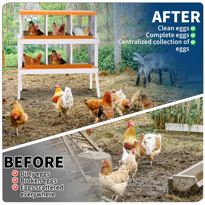 6‑Hole Chicken Laying Box with Trays