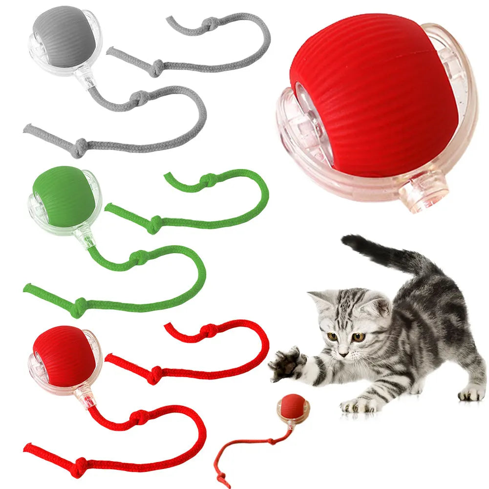 Rechargeable Interactive Cat Ball for Indoor Cats & Kittens,