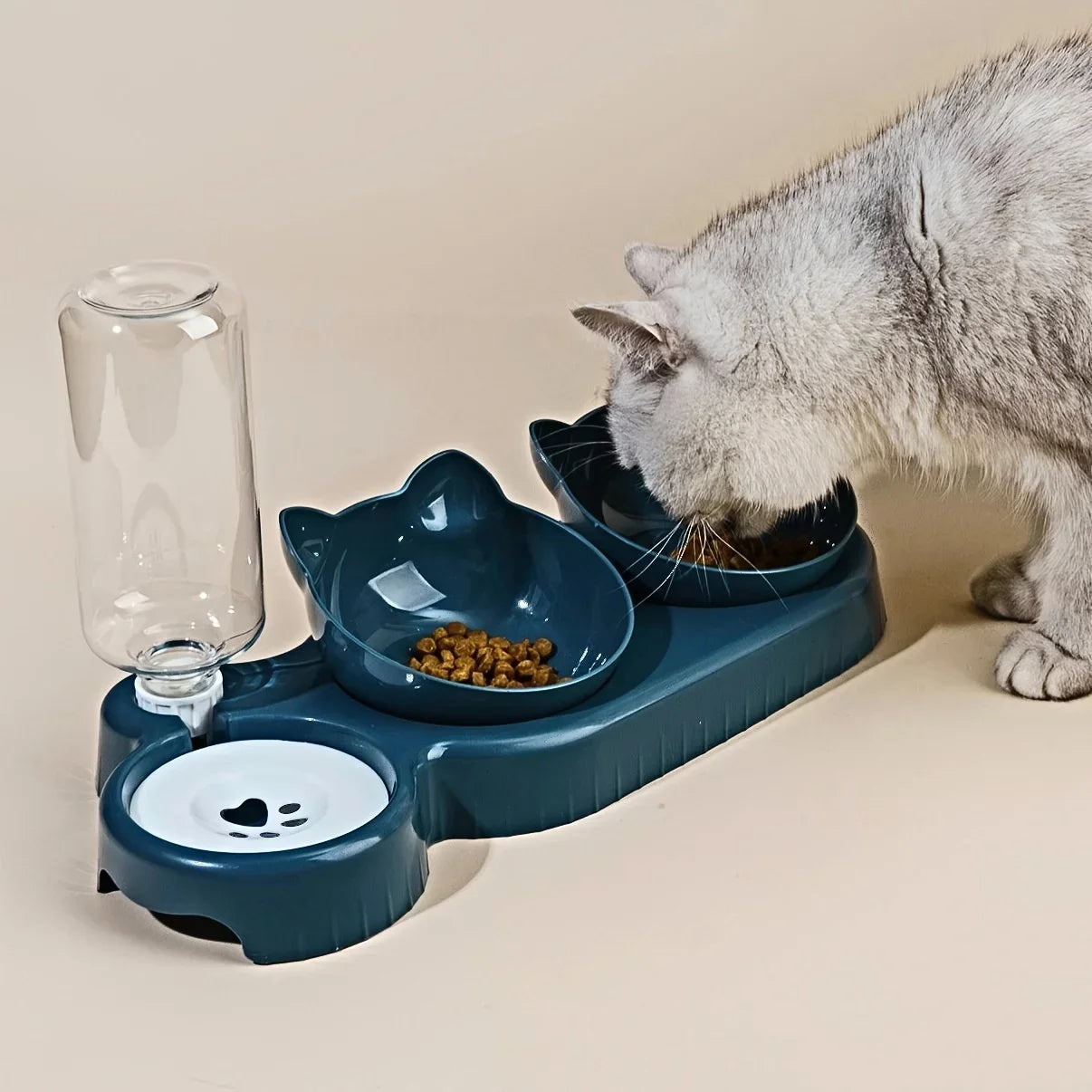 Pet Bowls With Water Feeder, 3 In 1 Design Tilted Cat Water and Food Bowl Set