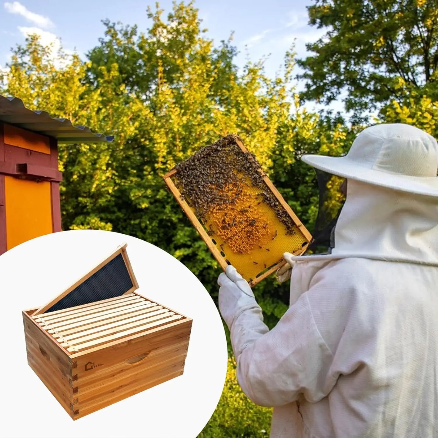 10‑Frame Deep Brood Box, wax‑coated, Langstroth‑style, unassembled. Deep Brood Box Kit – Wax‑Coated with Frames & Wax Foundations.