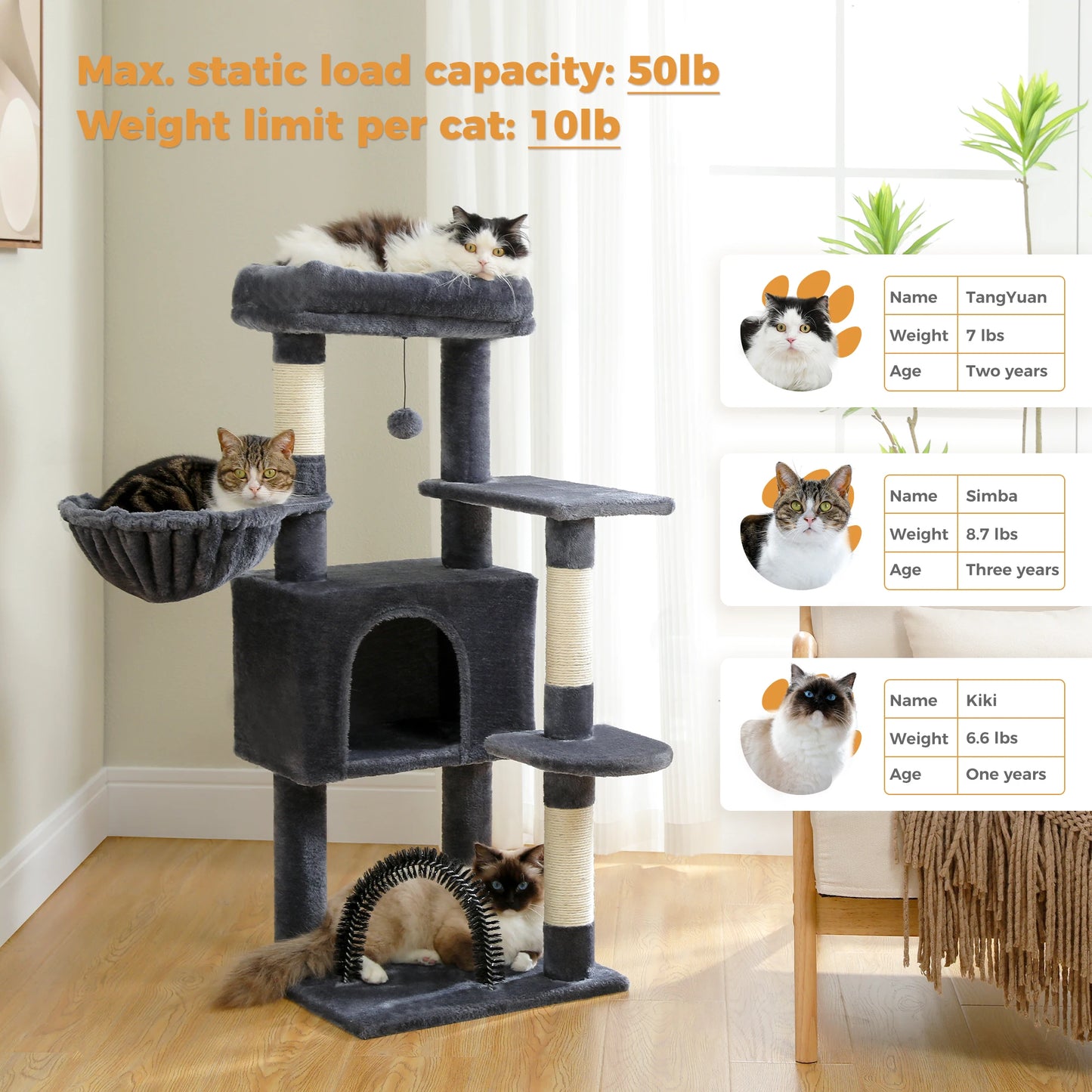 Plush Perch, Hammock, Condo & Sisal Scratching Posts for Indoor Cats