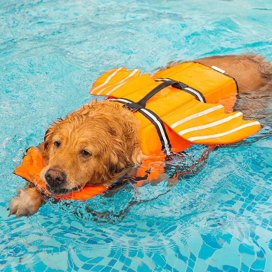 Dog Life Jacket with Wings Design, Swim Safety for Pool & Beach.