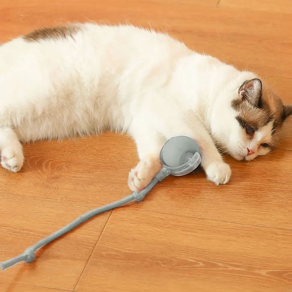 Rechargeable Interactive Cat Ball for Indoor Cats & Kittens,