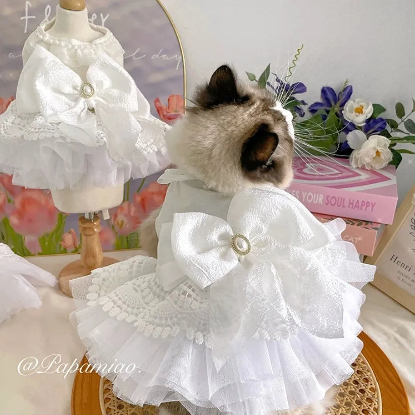 Elegant Puppy Princess Dress – Lace & Tulle Skirt