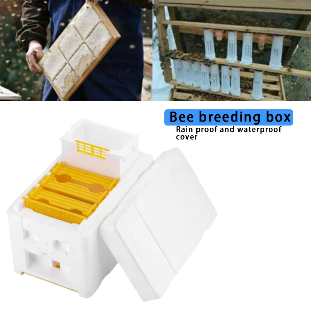 1–5 PCS Queen Mating Beehive – Lightweight Foam Nuc Box, Beekeeping Foam Hive Box
