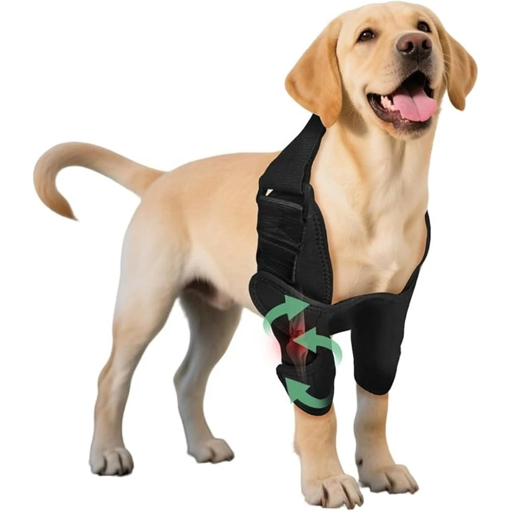 Front Leg Brace for Torn Ligaments & Elbow Issues