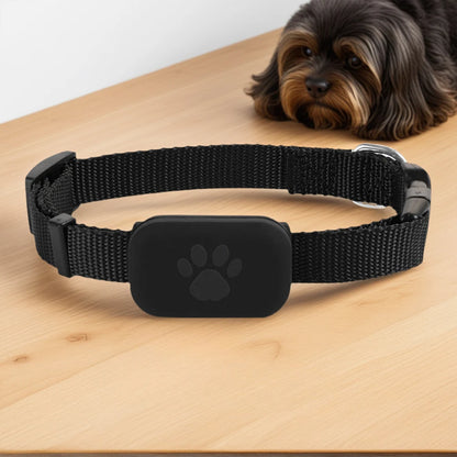 Cat & Dog GPS Tracking Collar