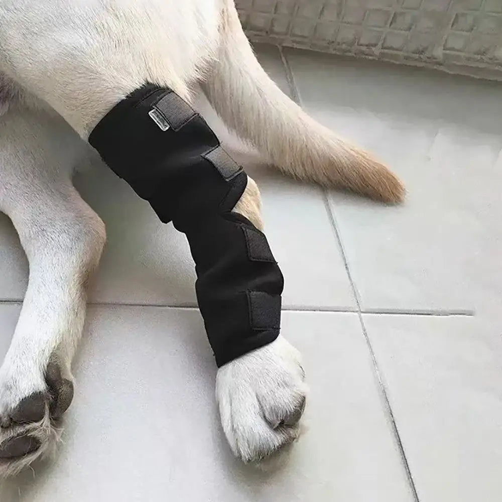 Adjustable Dog Injury Leg & Knee Brace