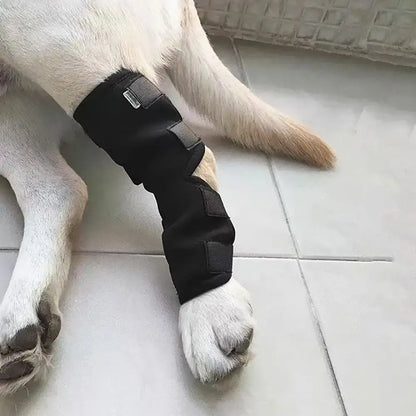 Adjustable Dog Injury Leg & Knee Brace