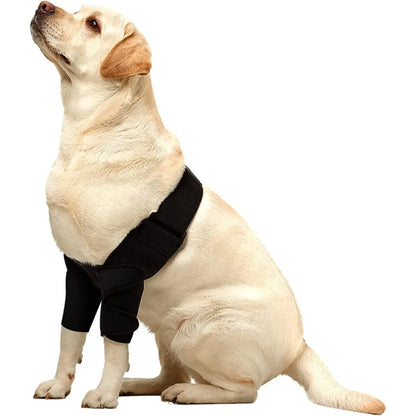 Front Leg Brace for Torn Ligaments & Elbow Issues