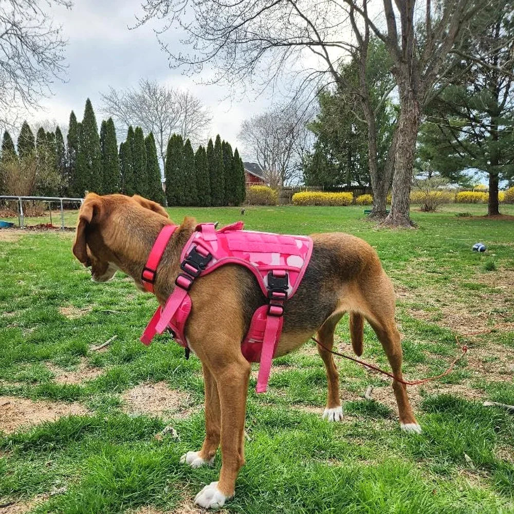 Service Dog Tactical Harness with Hook‑and‑Loop Panels, Military‑Style Pink Dog Harness with Patches.