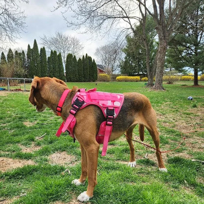 Service Dog Tactical Harness with Hook‑and‑Loop Panels, Military‑Style Pink Dog Harness with Patches.
