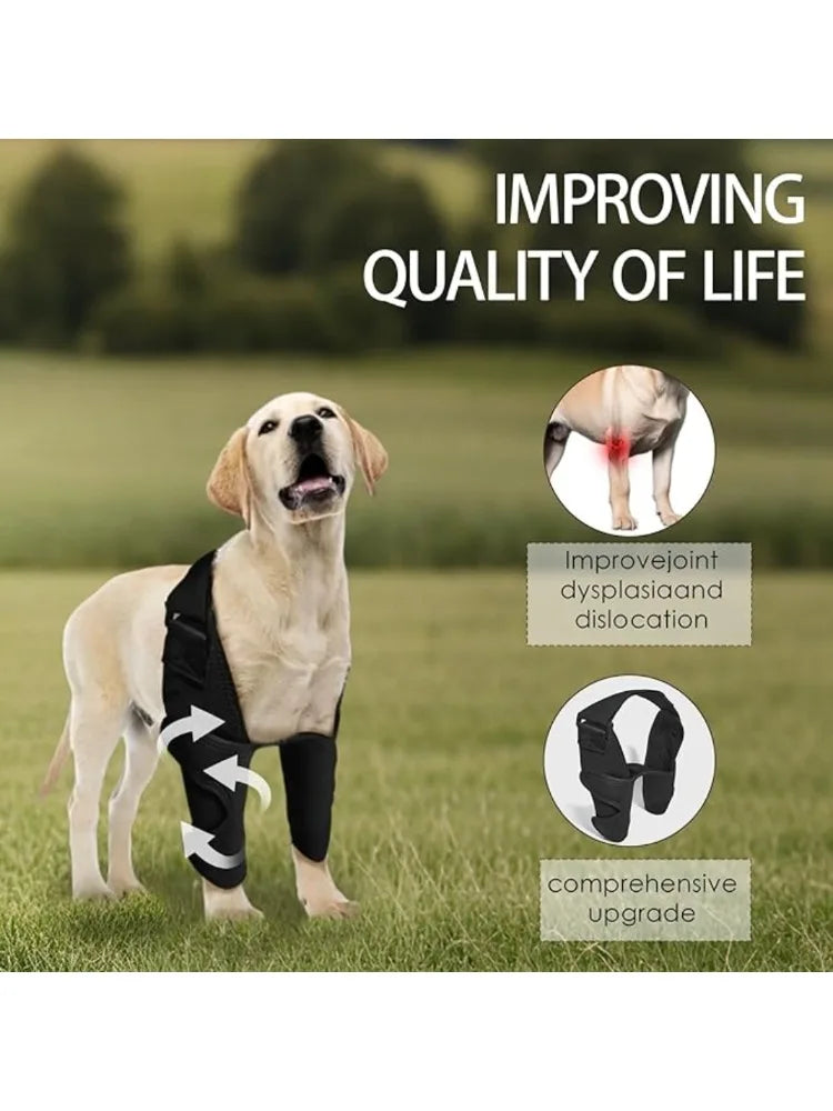 Front Leg Brace for Torn Ligaments & Elbow Issues