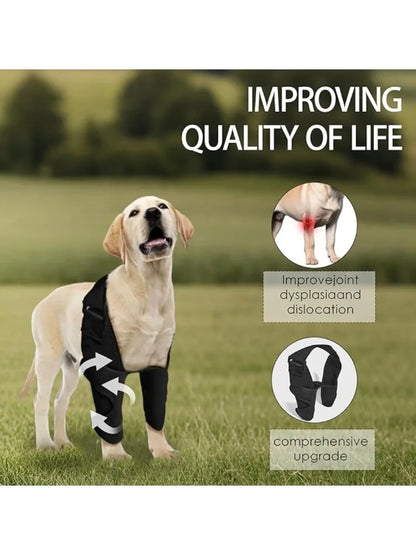 Front Leg Brace for Torn Ligaments & Elbow Issues