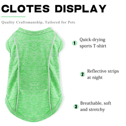 Sun Protection Dog Shirts made simple. Stretchy, breathable, and reflective for safer walks.