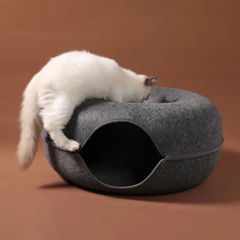 Interactive Cat Bed Tunnel for Play & Training
