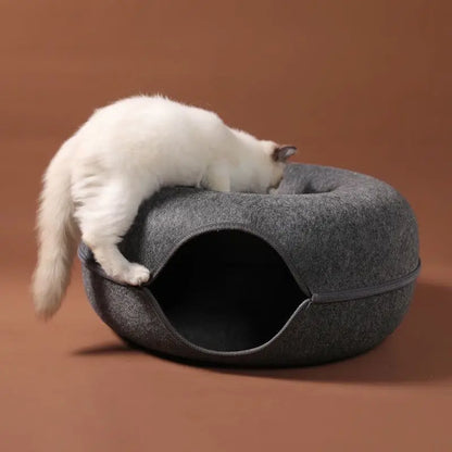 Interactive Cat Bed Tunnel for Play & Training