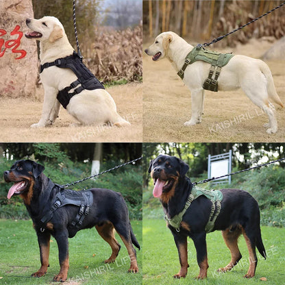 Heavy‑Duty Military Dog Harness – Training & Walking