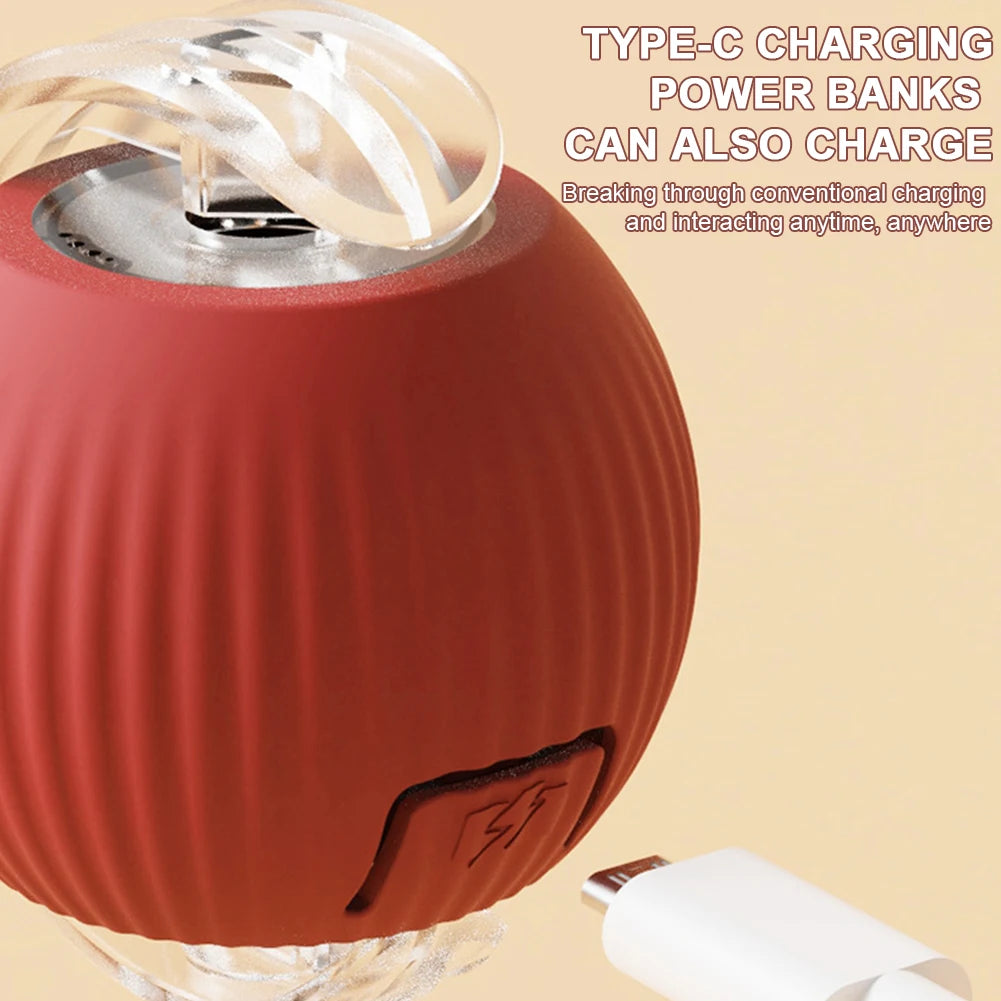 Rechargeable Interactive Cat Ball for Indoor Cats & Kittens,