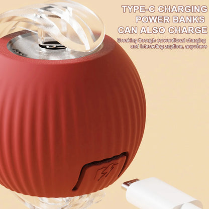 Rechargeable Interactive Cat Ball for Indoor Cats & Kittens,