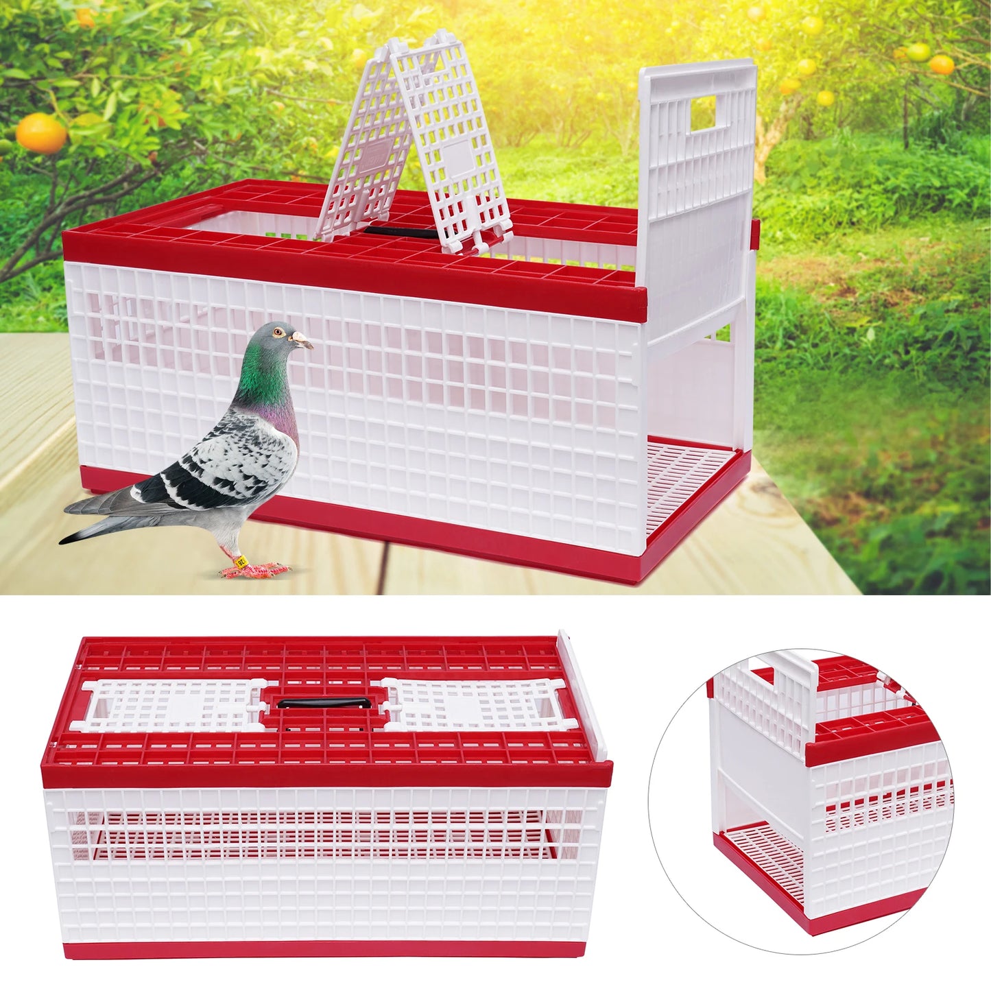Foldable Cage Ideal for racing pigeons, training, transport, and shows