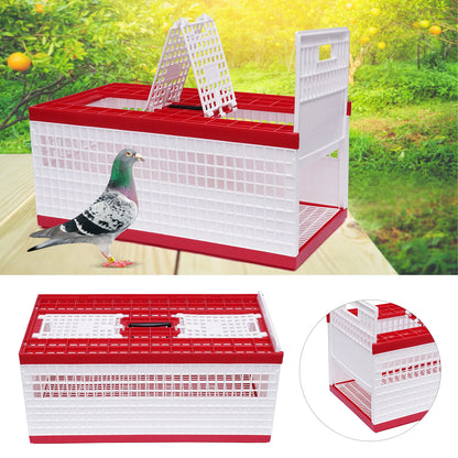 Foldable Cage Ideal for racing pigeons, training, transport, and shows