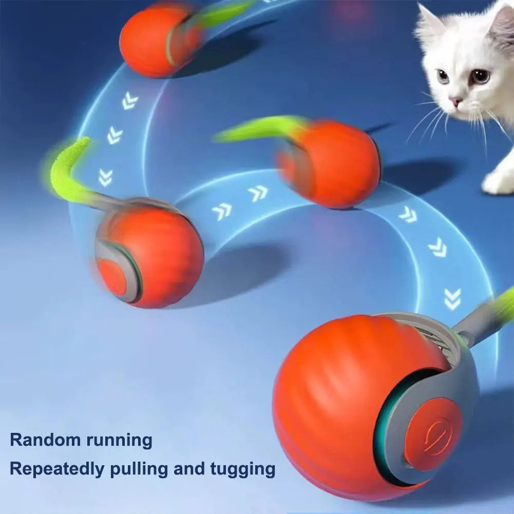 Interactive Rechargeable Ball for Puppies, Dogs & Cats.