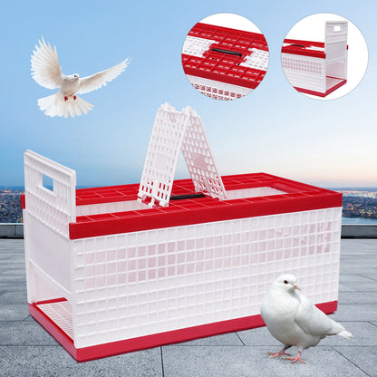 Foldable Cage Ideal for racing pigeons, training, transport, and shows
