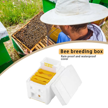 1–5 PCS Queen Mating Beehive – Lightweight Foam Nuc Box, Beekeeping Foam Hive Box