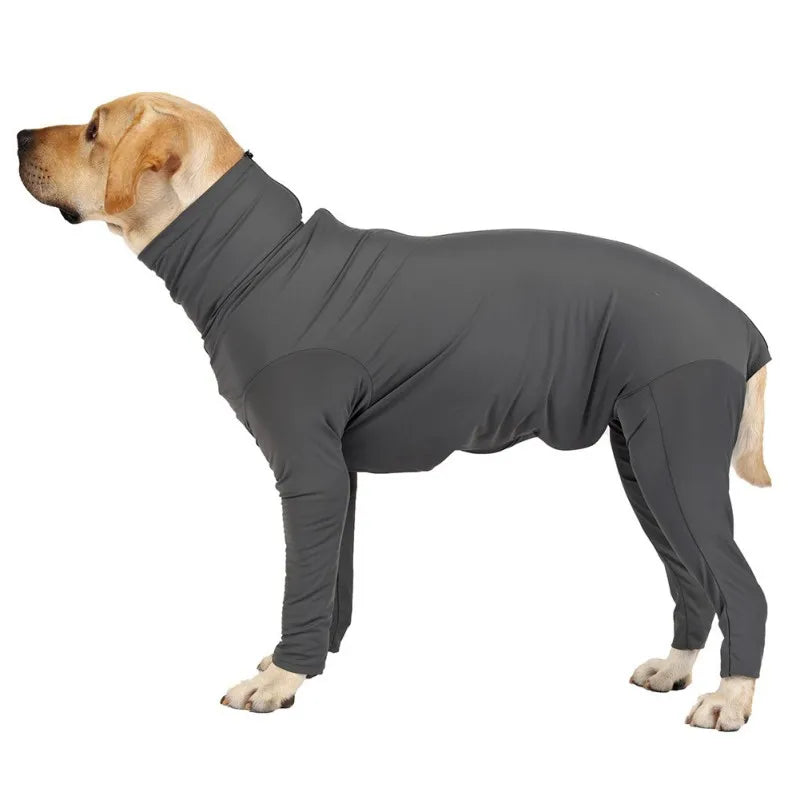One‑Piece Recovery Suit for Dogs
