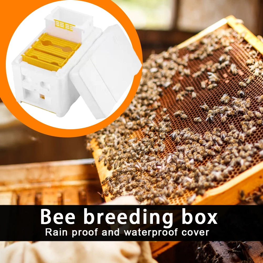 1–5 PCS Queen Mating Beehive – Lightweight Foam Nuc Box, Beekeeping Foam Hive Box